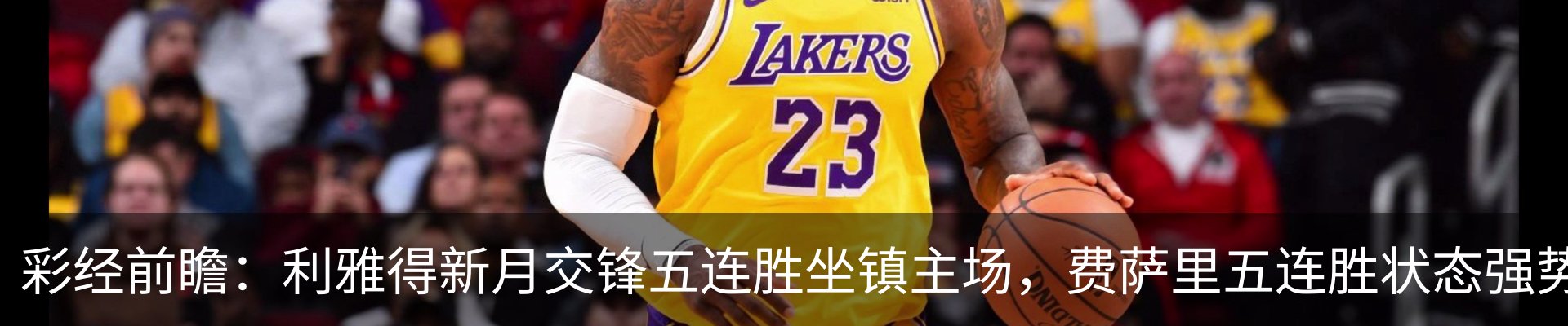 最新动态