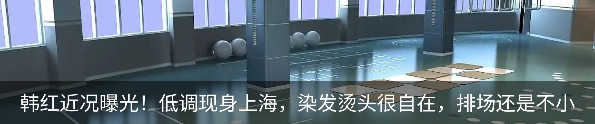 最新动态
